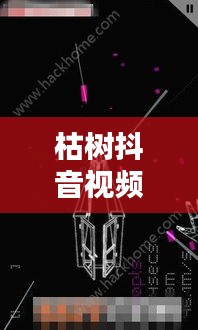 枯樹抖音視頻，探索最新版視頻世界，體驗獨特魅力