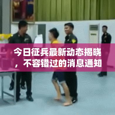 今日征兵最新動(dòng)態(tài)揭曉，不容錯(cuò)過(guò)的消息通知！