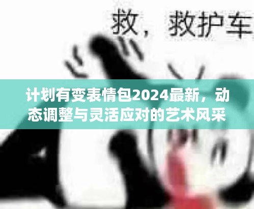 計劃有變表情包2024最新，動態(tài)調(diào)整與靈活應(yīng)對的藝術(shù)風(fēng)采