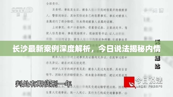 長沙最新案例深度解析，今日說法揭秘內(nèi)情