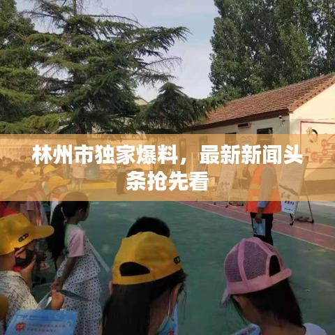 林州市獨家爆料，最新新聞頭條搶先看