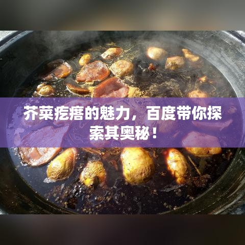 芥菜疙瘩的魅力，百度帶你探索其奧秘！