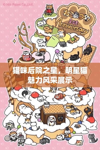 貓咪后院之星，明星貓魅力風(fēng)采展示