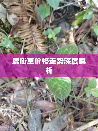 飛蛾撲火