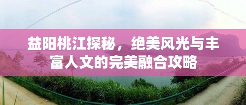 首鼠兩端
