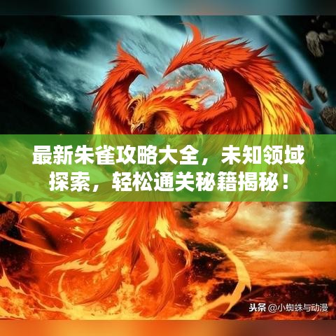 最新朱雀攻略大全，未知領(lǐng)域探索，輕松通關(guān)秘籍揭秘！