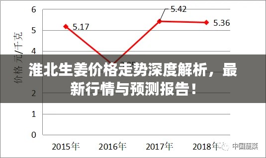 淮北生姜價格走勢深度解析，最新行情與預(yù)測報告！