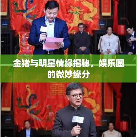 金豬與明星情緣揭秘，娛樂圈的微妙緣分