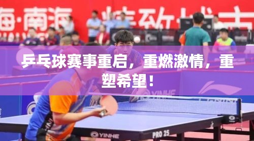 乒乓球賽事重啟，重燃激情，重塑希望！