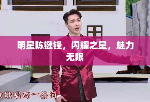 明星陳鍵鋒，閃耀之星，魅力無(wú)限