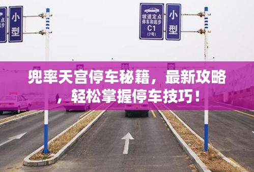 兜率天宮停車秘籍，最新攻略，輕松掌握停車技巧！