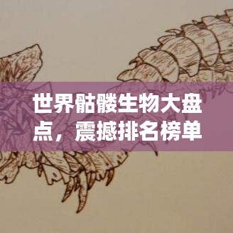 世界骷髏生物大盤點，震撼排名榜單