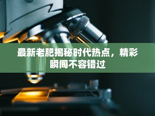 最新老肥揭秘時(shí)代熱點(diǎn)，精彩瞬間不容錯(cuò)過(guò)