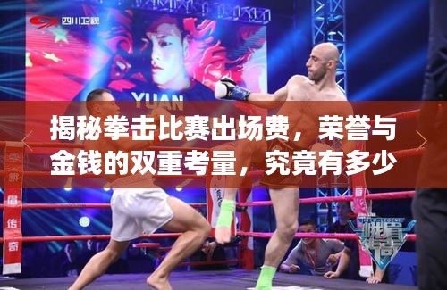 揭秘拳擊比賽出場費，榮譽與金錢的雙重考量，究竟有多少？
