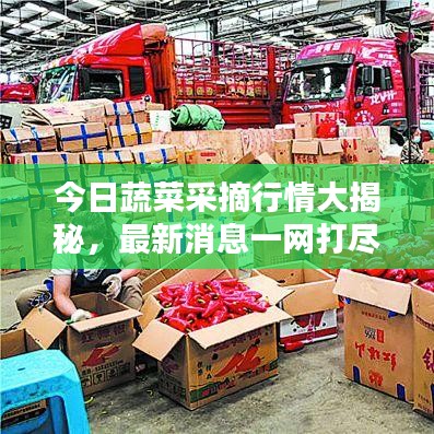 造價咨詢