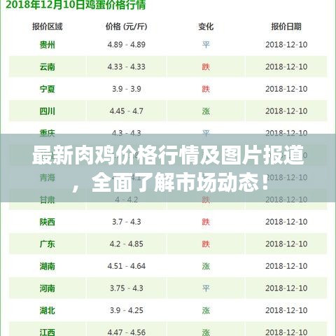 最新肉雞價(jià)格行情及圖片報(bào)道，全面了解市場(chǎng)動(dòng)態(tài)！