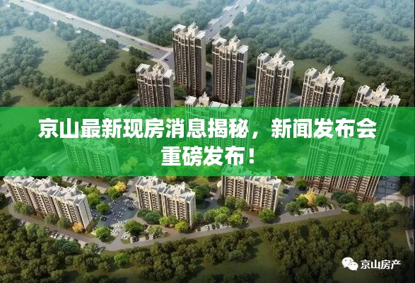 京山最新現(xiàn)房消息揭秘，新聞發(fā)布會(huì)重磅發(fā)布！