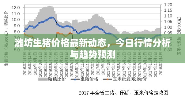 濰坊生豬價(jià)格最新動(dòng)態(tài)，今日行情分析與趨勢(shì)預(yù)測(cè)